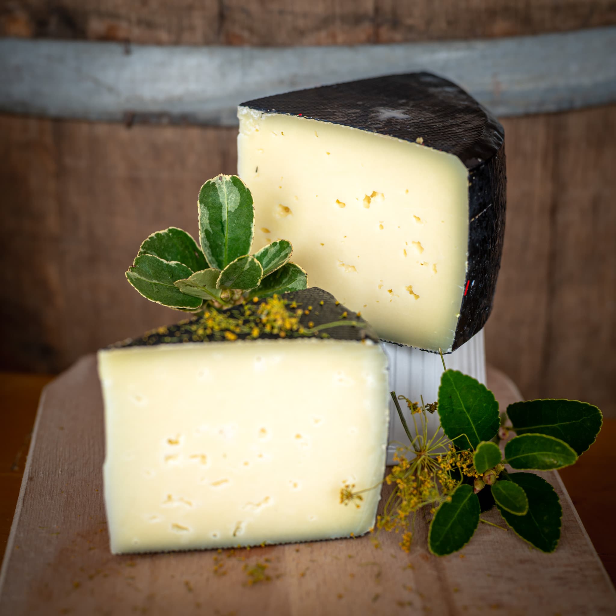 Ókécskei félkemény (Hegyvidéki típusú érlelt sajt)