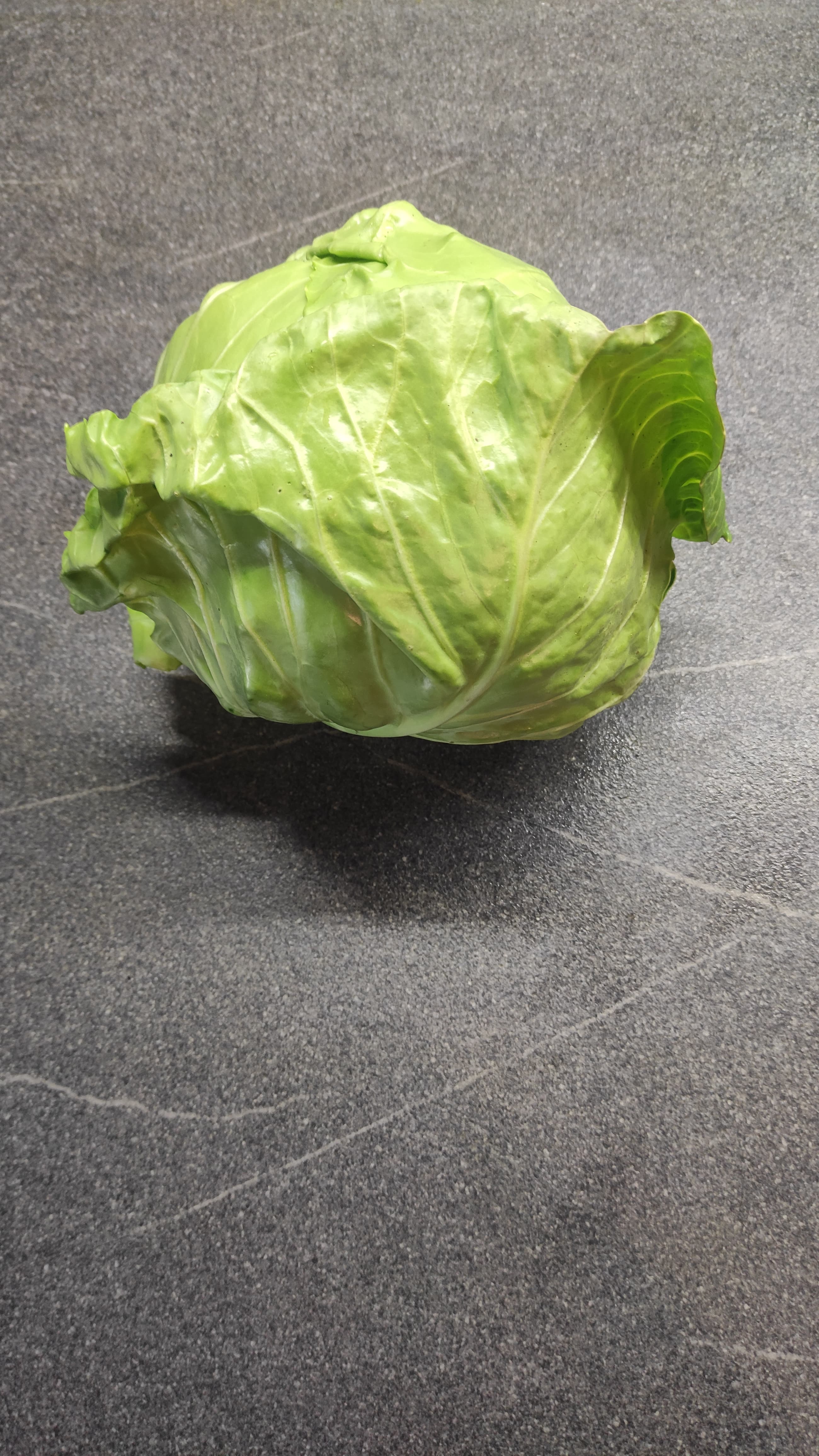 Új káposzta 