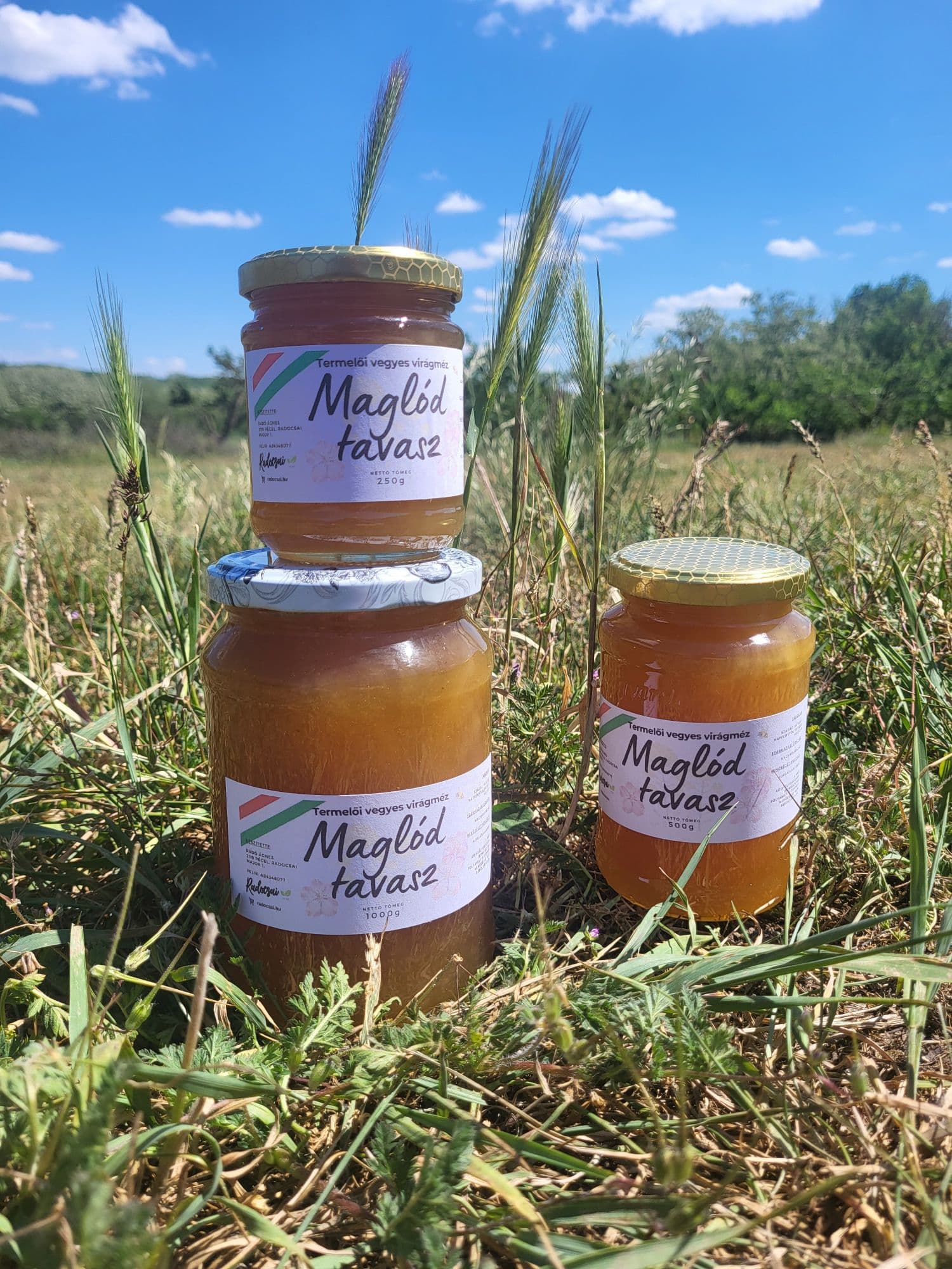 Maglód Tavasz méz – 1000 g - 2