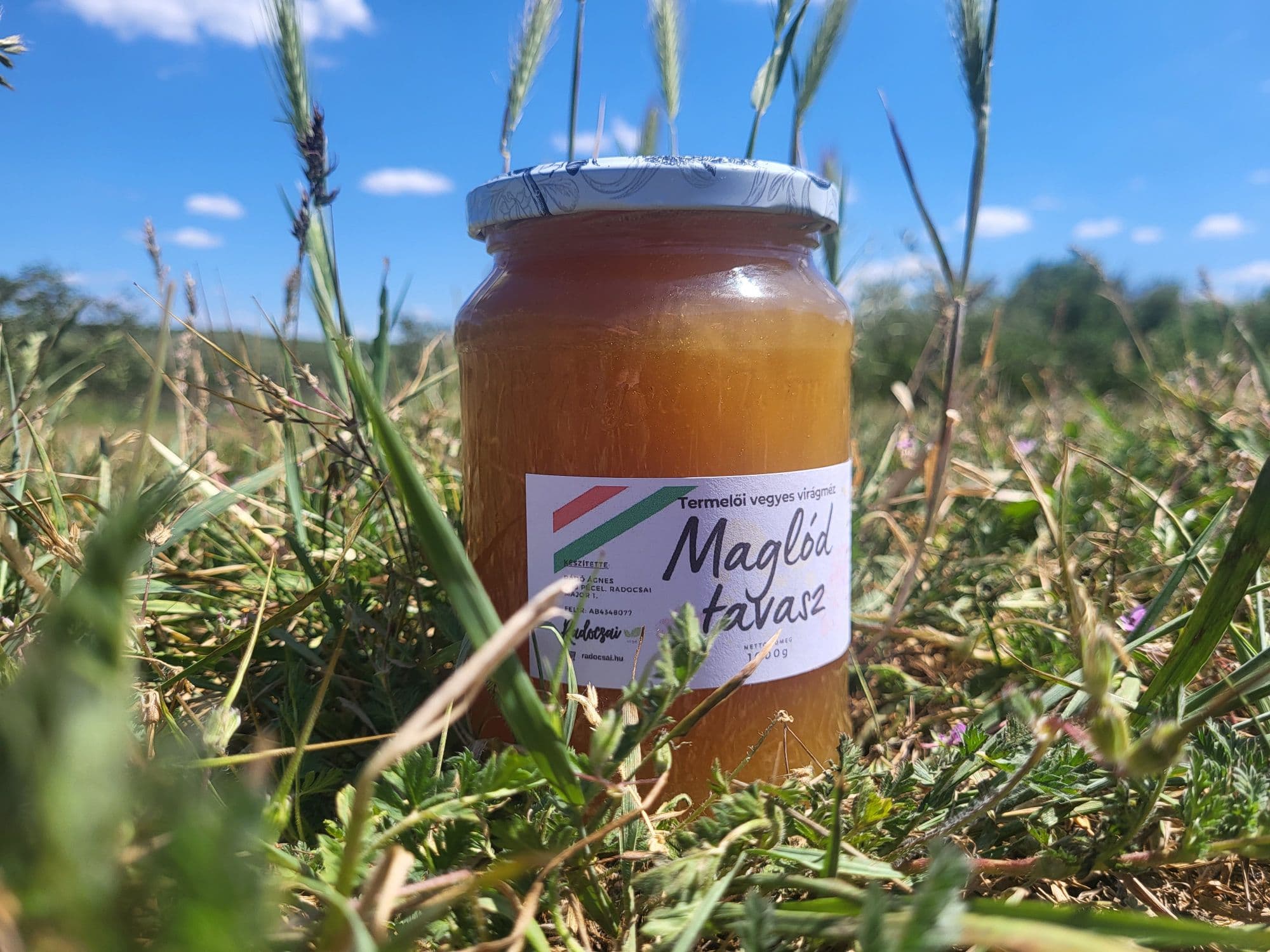 Maglód Tavasz méz – 1000 g - 1