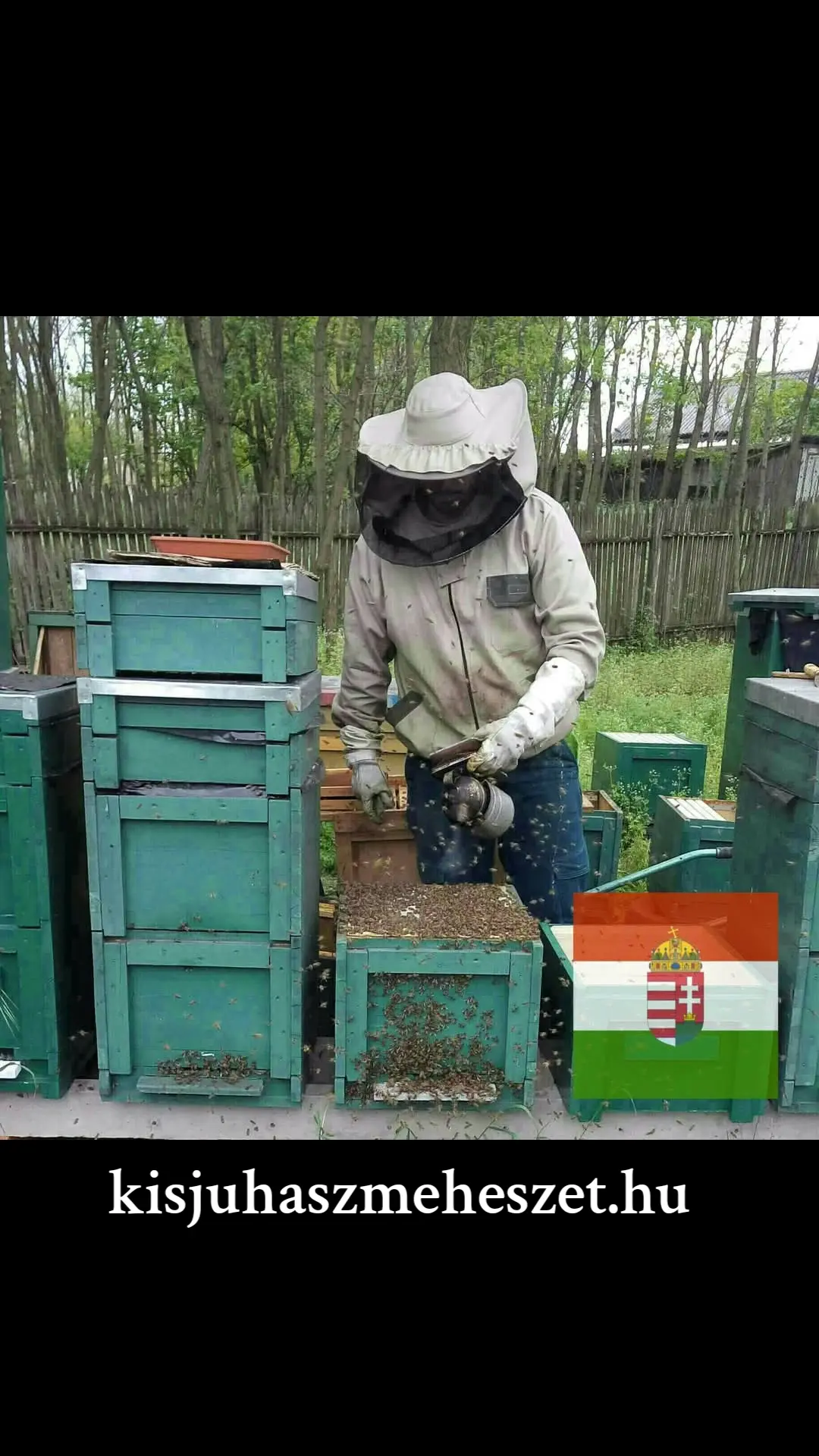 Kisjuhász Méhészet Ladánybene logó