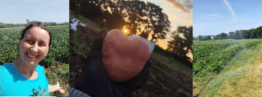 Ku-Kucs Ökokert borítókép