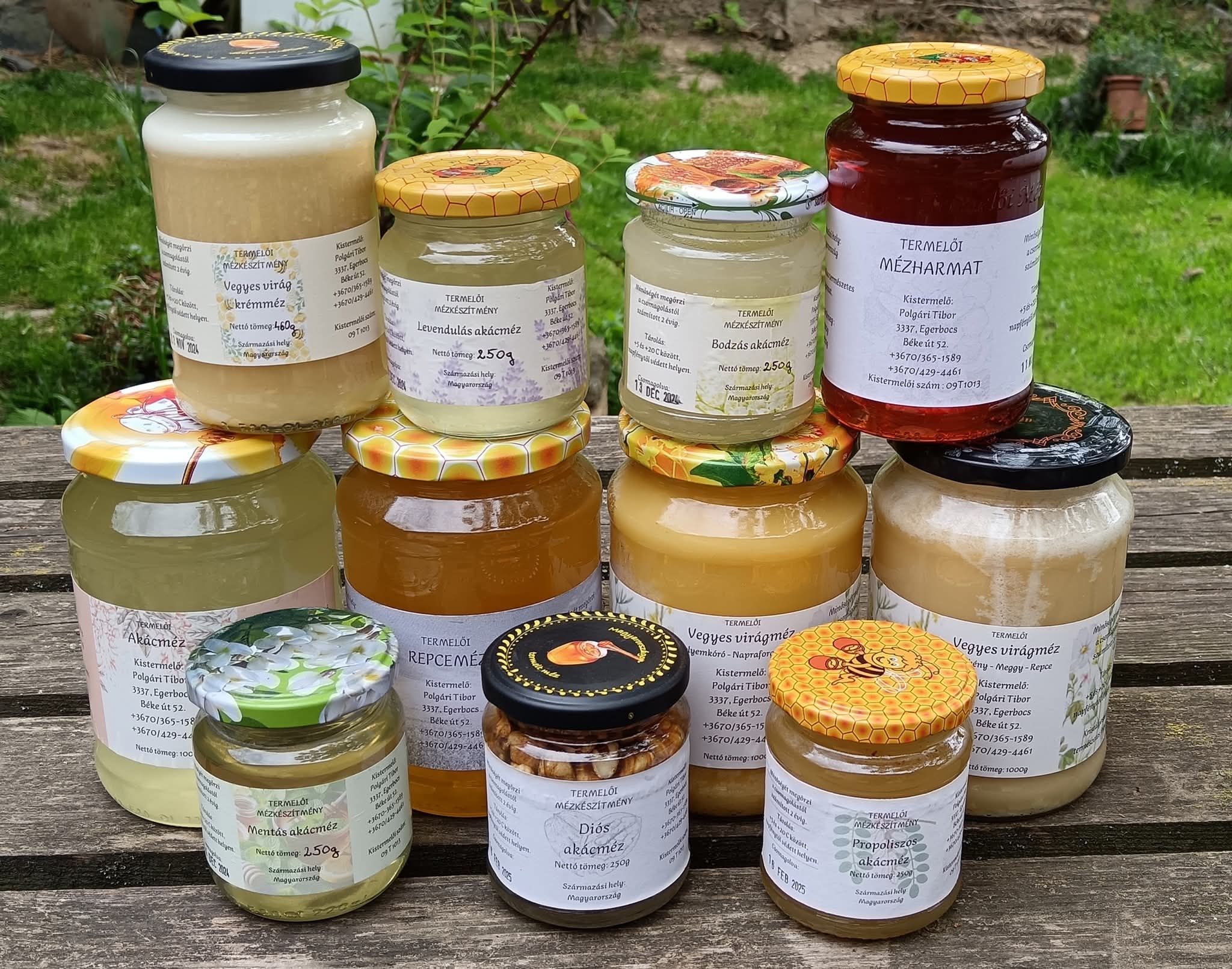 Major Eszter borítókép