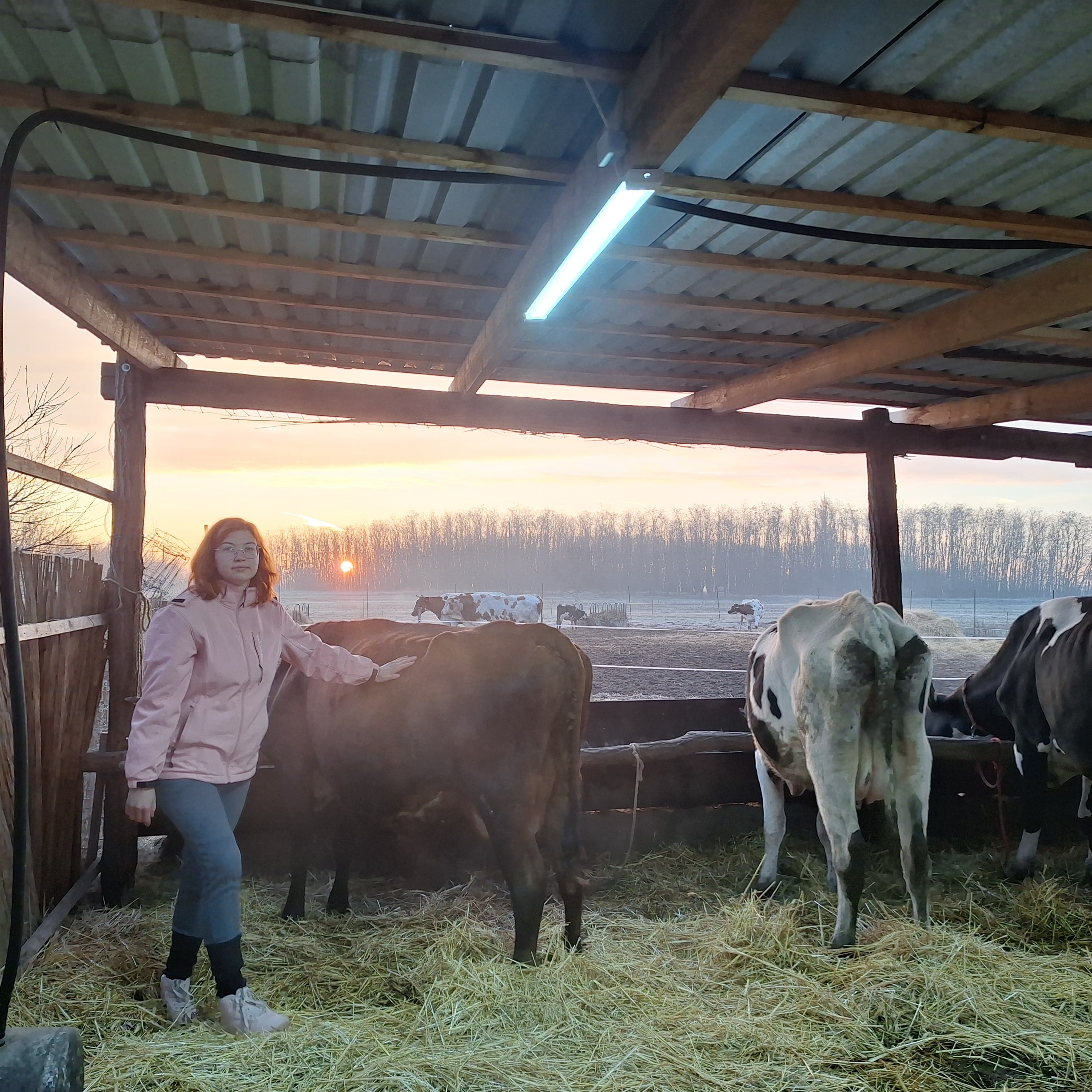 Tiszán innen Sajtbirtok - 8