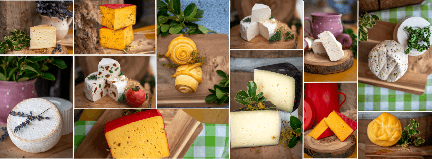 Tiszán innen Sajtbirtok borítókép