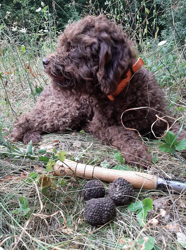 Bella és a zsákmány. 